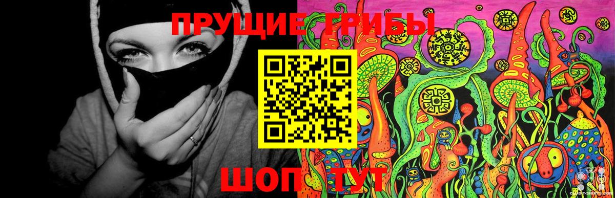 Псилоцибиновые грибы прущие грибы  Галлюциногенные грибы Magic Shrooms  Курган  цены   Вход с VPN 